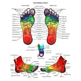 treatments-foot-chart