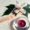 Wellness Tab - Hopi Ear Candles